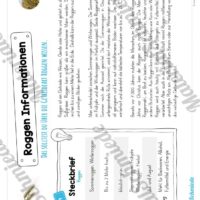 MaterialPaket: Getreide Roggen (Vorschau 05)