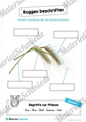 MaterialPaket: Getreide Roggen (Vorschau 07)