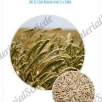 MaterialPaket: Getreide Roggen (Vorschau 10)