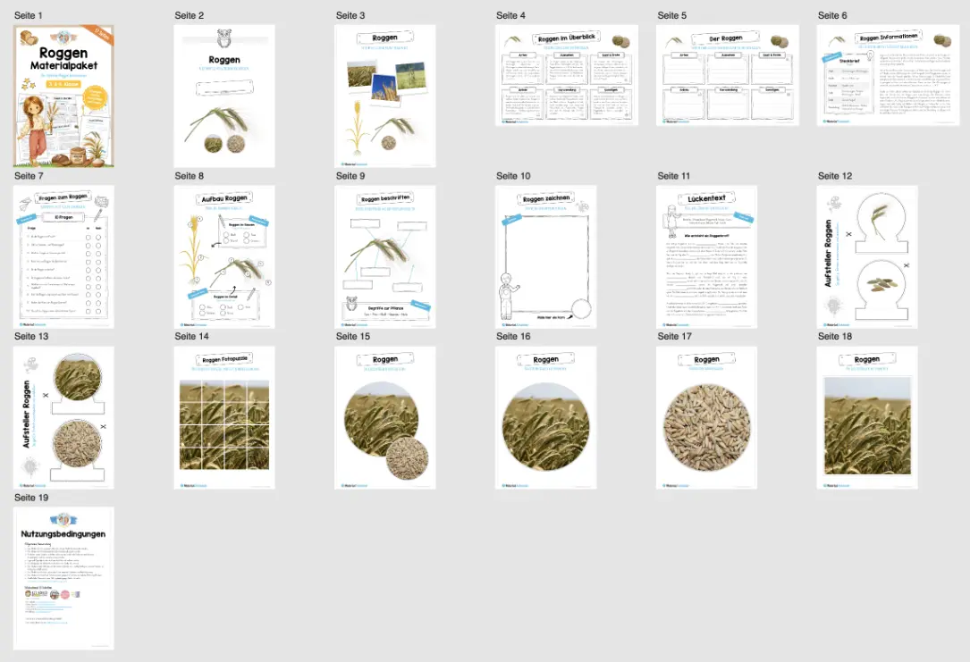 Materialpaket Roggen (16 Seiten) - Überblick
