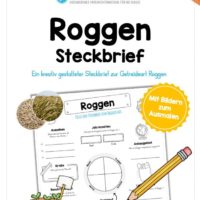 Steckbrief Roggen
