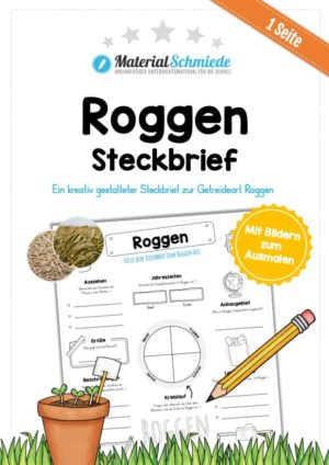 Steckbrief Roggen