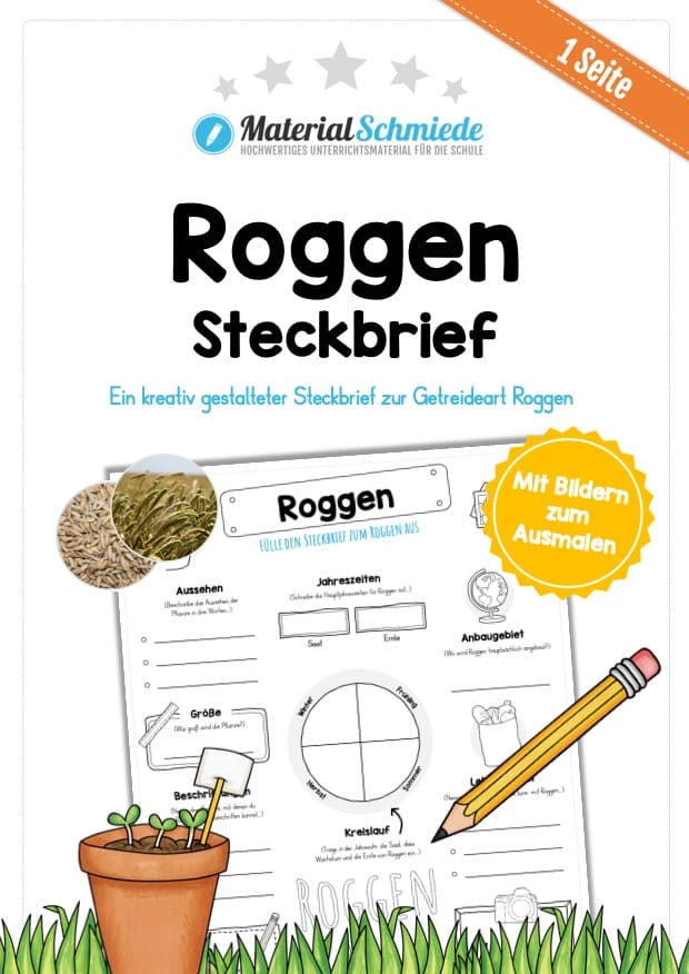 Steckbrief Roggen