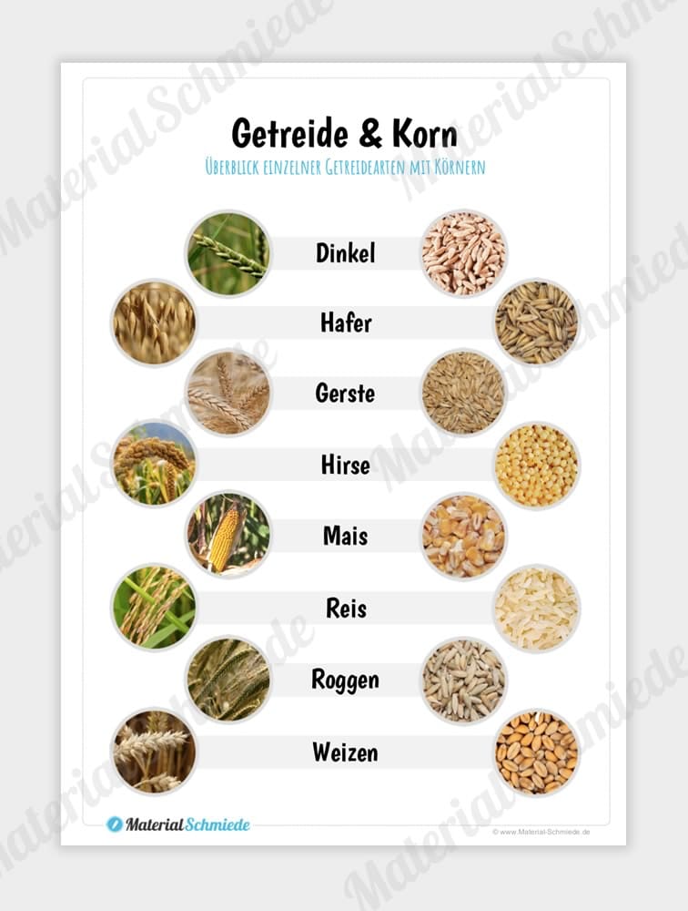 Materialpaket Getreide (9 Arbeitsblätter)