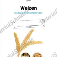 MaterialPaket: Getreide Weizen (Vorschau 01)