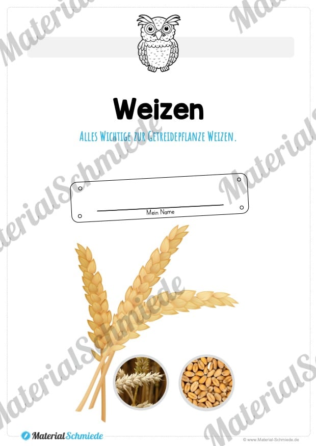 MaterialPaket: Getreide Weizen (Vorschau 01)