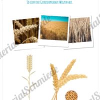 MaterialPaket: Getreide Weizen (Vorschau 02)
