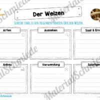 MaterialPaket: Getreide Weizen (Vorschau 04)