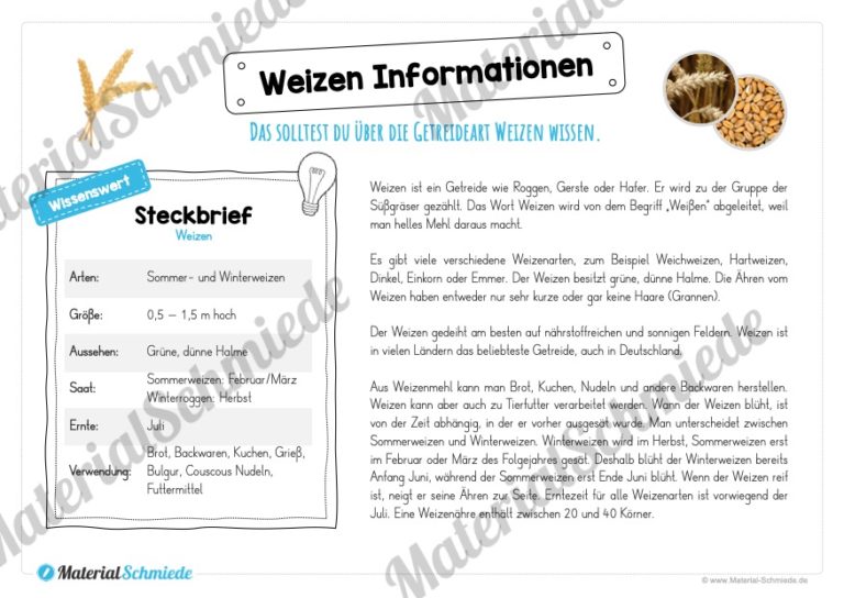 MaterialPaket: Getreide Weizen (Vorschau 05)