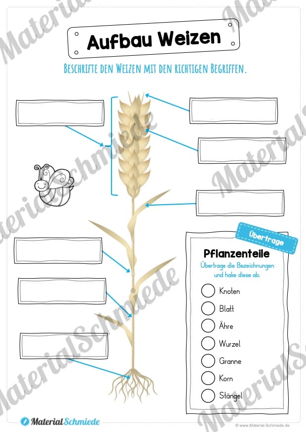 MaterialPaket: Getreide Weizen (Vorschau 07)