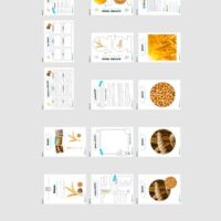 MaterialPaket: Getreide Weizen (Überblick)