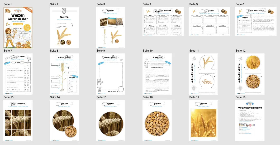 Materialpaket Weizen (16 Seiten) - Überblick