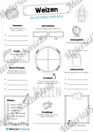 Steckbrief Weizen (Vorschau)