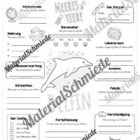 Steckbrief Delfin (Vorschau)