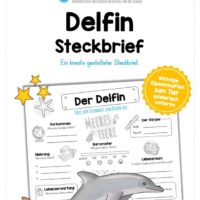 Steckbrief Delfin
