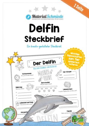 Steckbrief Delfin