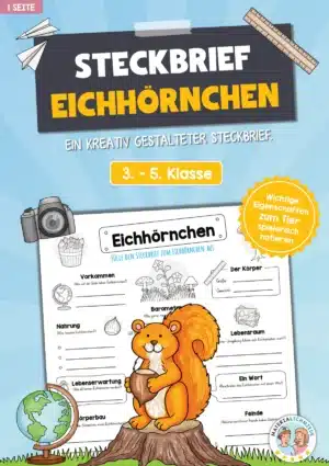 Steckbrief Eichhörnchen