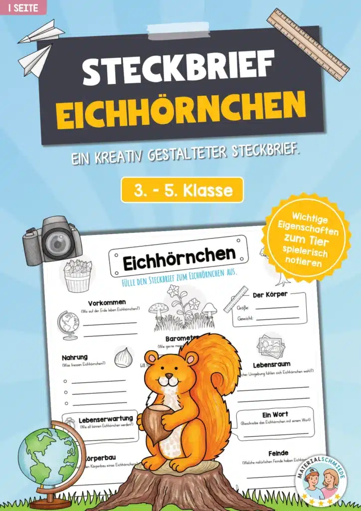 Steckbrief Eichhörnchen