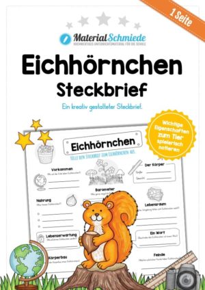 Steckbrief Eichhörnchen