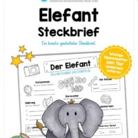 Steckbrief Elefant