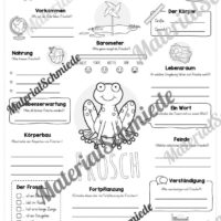 Steckbrief Frosch (Vorschau)