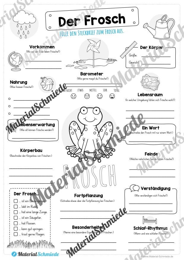 Steckbrief Frosch (Vorschau)