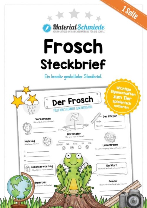 Steckbrief Frosch