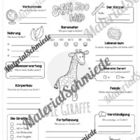 Steckbrief Giraffe (Vorschau)