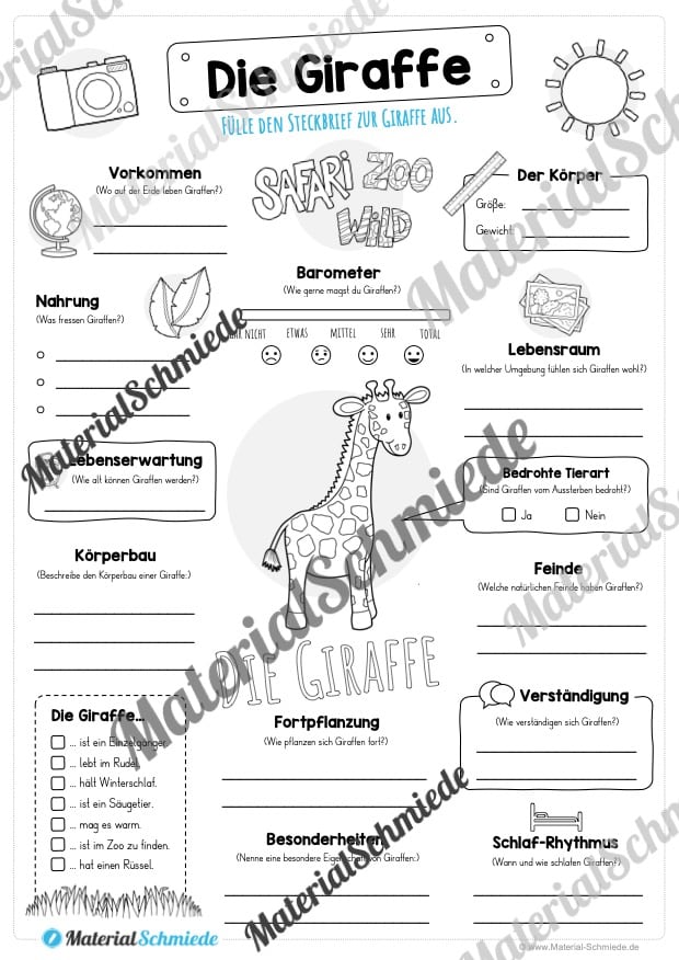 Steckbrief Giraffe (Vorschau)