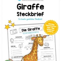 Steckbrief Giraffe