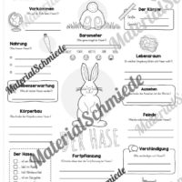 Steckbrief Hase (Vorschau)