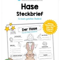 Steckbrief Hase