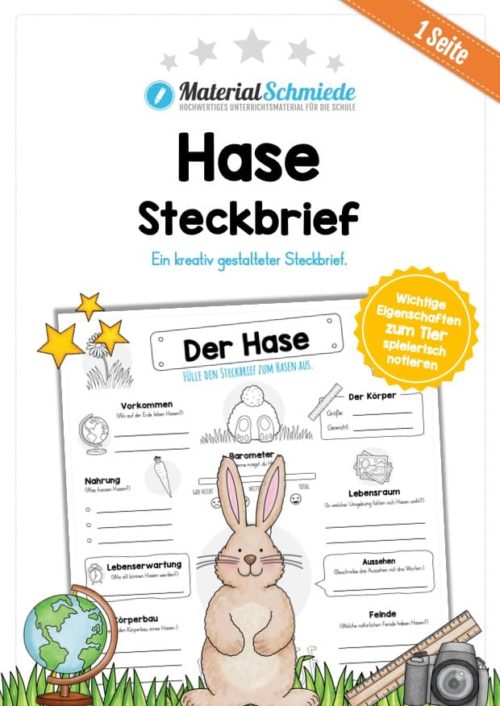 Steckbrief Hase