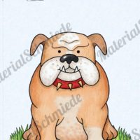 35 Flashcards Hunde & Hunderassen (Vorschau 02)