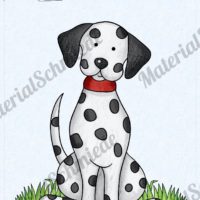 35 Flashcards Hunde & Hunderassen (Vorschau 03)