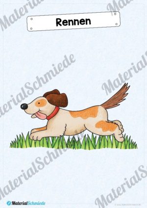 35 Flashcards Hunde & Hunderassen (Vorschau 07)