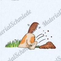 35 Flashcards Hunde & Hunderassen (Vorschau 08)