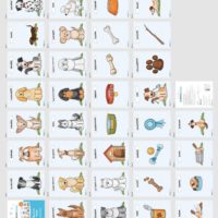35 Flashcards Hunde & Hunderassen (Überblick)
