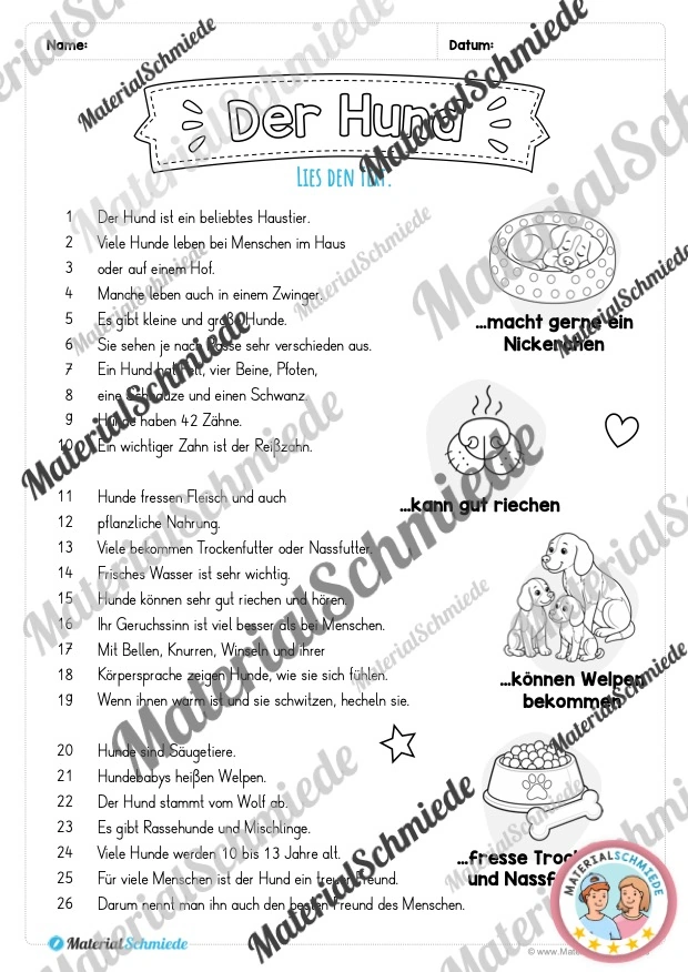 Lesetext Hunde (mit 10 Fragen) für die 3. & 4. Klasse - Arbeitsblatt 01