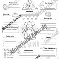 Steckbrief Hund (Vorschau)