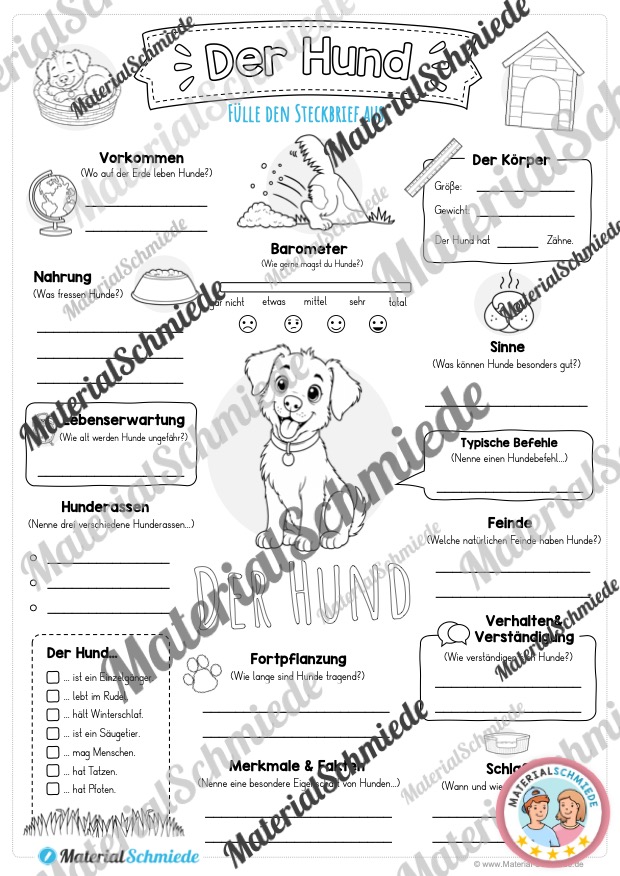 Steckbrief Hund zum Ausfüllen (3. & 4. Klasse) - Arbeitsblatt