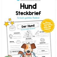 Steckbrief Hund