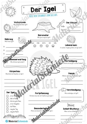 Steckbrief Igel (Vorschau)