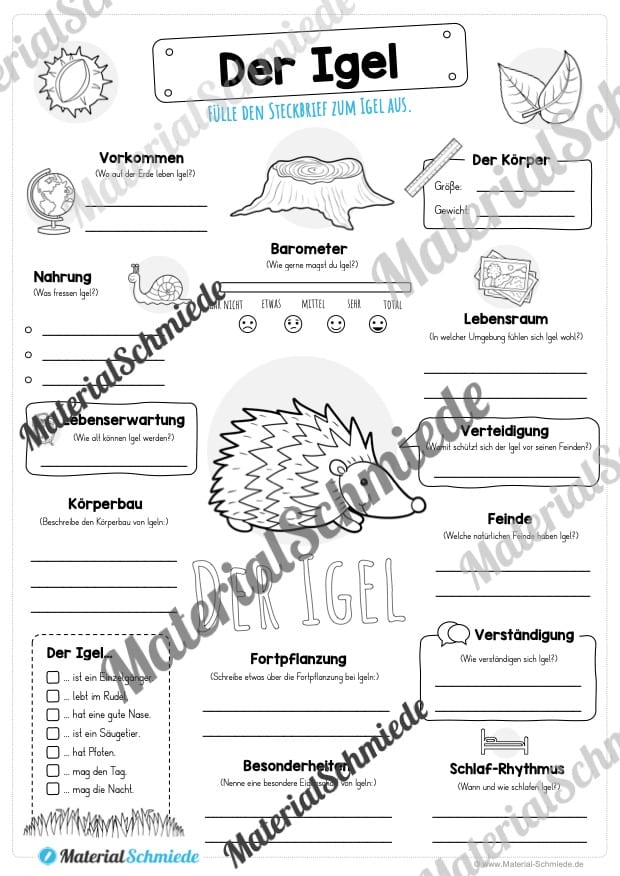 Steckbrief Igel (Vorschau)