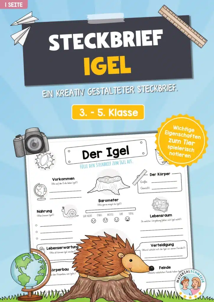 Steckbrief Igel