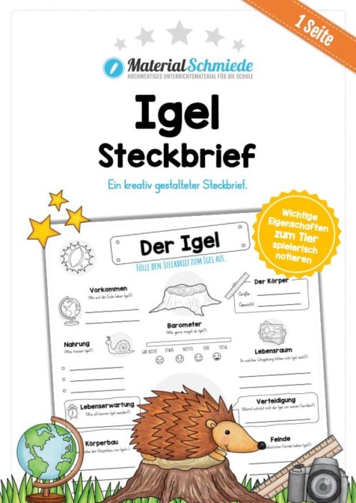 Steckbrief Igel