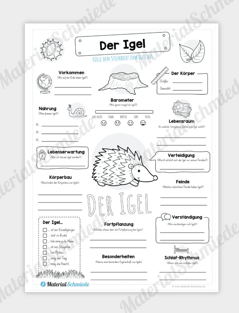 Erstellen grundschule steckbrief Haustiere Grundschule