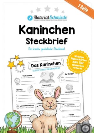 Steckbrief Kaninchen