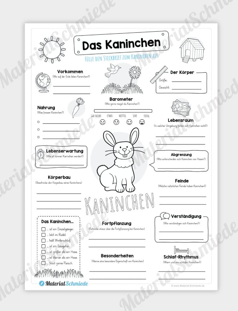 Steckbrief Kaninchen