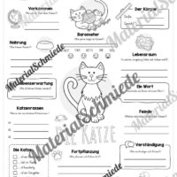 Steckbrief Katze (Vorschau)